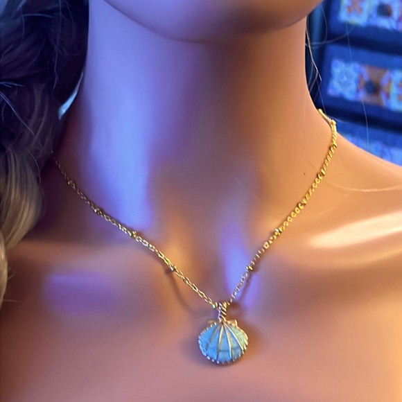Seashell Necklace - Picture 1 of 3